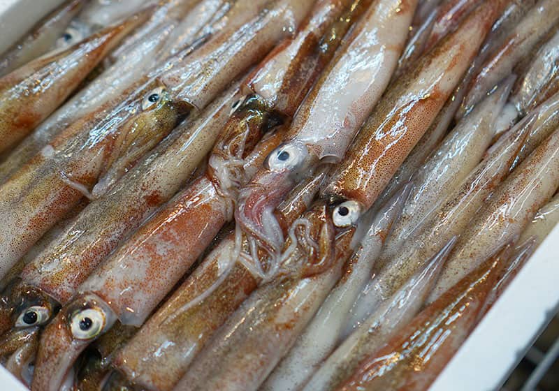 鮮魚