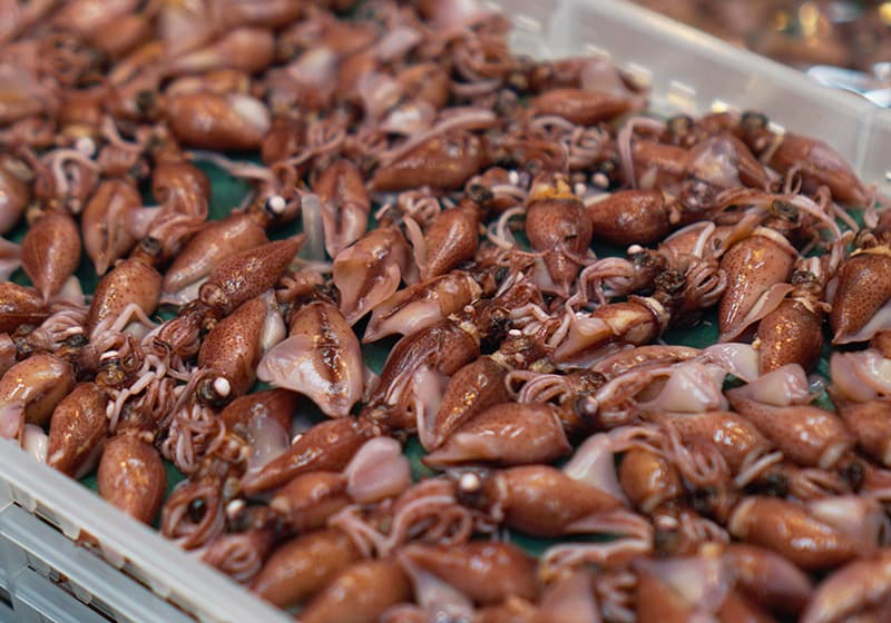 鮮魚