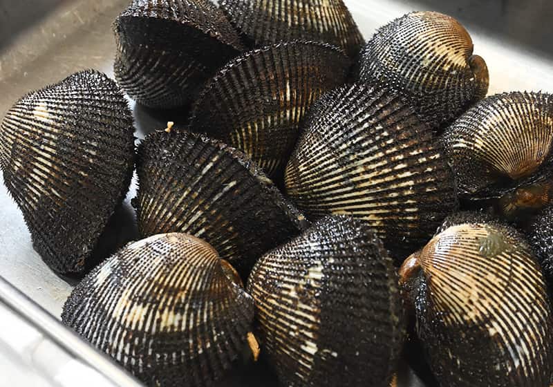 鮮魚
