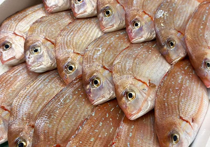 鮮魚